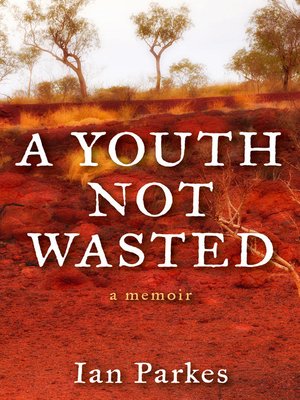 cover image of A Youth Not Wasted